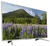 Sony KD-49XF7077