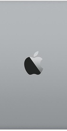 Apple MacBook Pro 13 Space Gray (Z0UN0000T) 2017