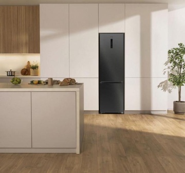 Gorenje NRB620C81BX4WFE