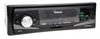 Fantom FP-300