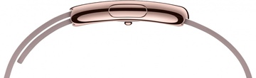 Apple Watch Edition 38mm 18-Karat Rose Gold Case with Rose Gray Modern Buckle (MJ3K2)