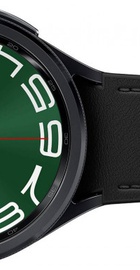 Samsung Galaxy Watch6 Classic 47mm Black (SM-R960NZKA)