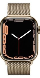 Apple Watch Series 7 GPS + Cellular 41mm Gold Stainless Steel Case with Gold Milanese Loop (MKHH3, MKJ03)