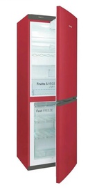 Snaige RF56SM-S5RB2E