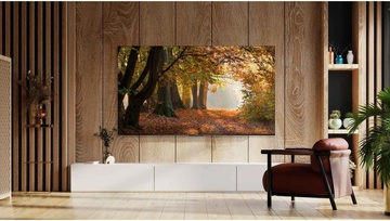 TCL 50V6B