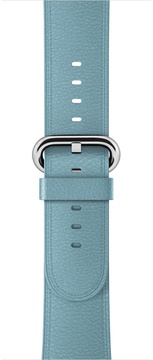 Apple Classic for Watch 42mm/44mm/45mm/46mm/49mm Blue JayBuckle (MMGR2)