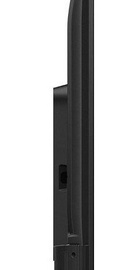 TCL 43P725