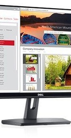 Dell SE2419H (210-AQOK)