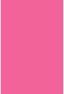 Savage Widetone Tulip 2.72m x 11m