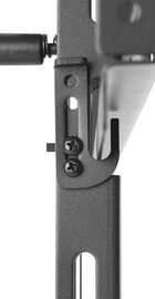 iTech VW46T