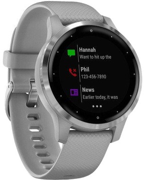 Garmin vivoactive 4S Powder Gray/Silver (010-02172-03)