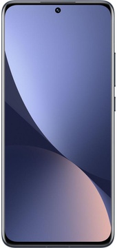 Xiaomi 12 12/256GB Gray (China)
