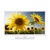Samsung UE24H4080A
