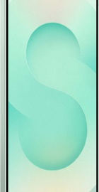 Samsung Galaxy S25 12/128GB Mint (SM-S931BLGD)