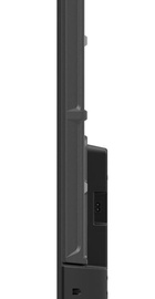 Skyworth 43Q66G