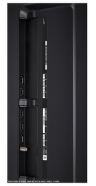LG 65QNED80
