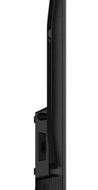 TCL 43S59K