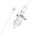 Borofone BZ12 Lasting Power 2USB 2.4A + Lightning White (BZ12BCLW)