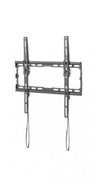 KIVI Basic-44T