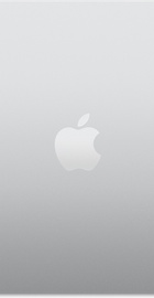 Apple MacBook Air 15" Late 2024 Silver (MC9J4)