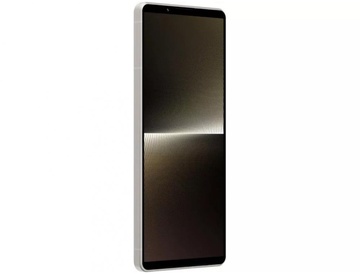 Sony Xperia 1 V 12/256GB Platinum Silver