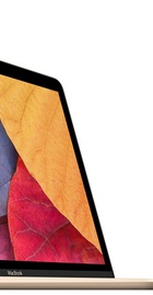 Apple MacBook 12" Gold (MK4M2UA/A)