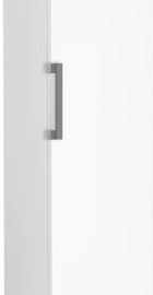 Beko B1RFNE313W