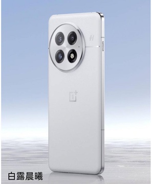 OnePlus 13 12/512GB White
