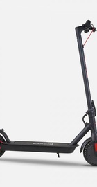 Proove X-City Lite Black/Red