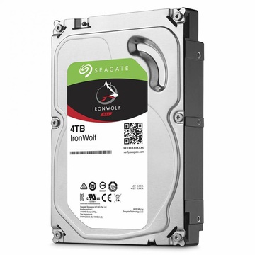 Seagate IronWolf Pro 4 TB (ST4000NE001)
