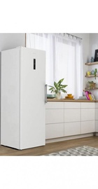 Gorenje FNP619EAW6L
