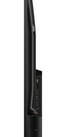 TCL 43P755