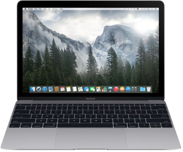 Apple MacBook 12" Space Gray (MJY32)
