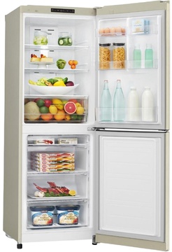 LG GA-B389SECZ