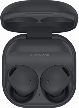 Samsung Galaxy Buds2 Pro Graphite (SM-R510NZAA)