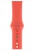 Apple Watch 42mm/44mm/45mm/46mm/49mm Sport Band Nectarine (MTPQ2)