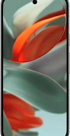 Google Pixel 9 Pro 16/128GB Hazel
