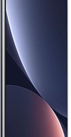 Xiaomi 12 Pro 12/256GB Gray