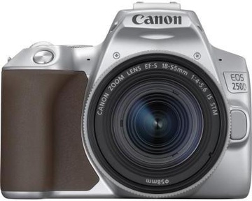 Canon EOS 250D kit (18-55mm) EF-S IS STM Silver (3461C003)