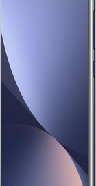 Xiaomi 12 12/256GB Gray (China)