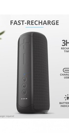 Trust Caro Max Powerful Bluetooth Wireless Speaker Black (23833)