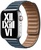Apple Leather Link M/L Baltic Blue for Watch 42mm/44mm/45mm/46mm/49mm (MY9L2)