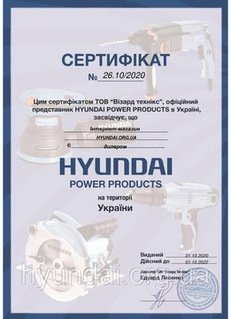 Hyundai DHY 8500LE
