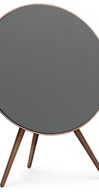 Bang&Olufsen BeoPlay A9 Rose Golden