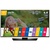 LG 55LF631V
