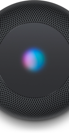 Apple HomePod Space Gray (MQHW2)