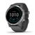 Garmin vivoactive 4 Shadow Gray/Silver (010-02174-03) (UA)