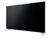 Kivi 55U600GU