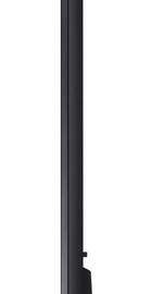 LG 55QNED75