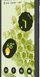 Google Pixel 6 8/128GB Sorta Seafoam